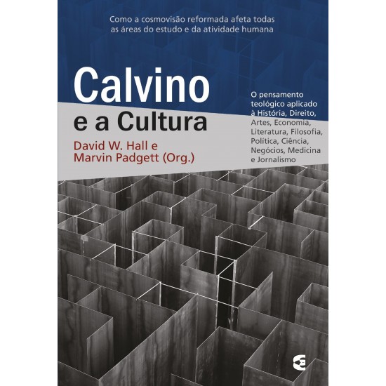 Calvino e a Cultura