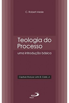 Teologia do Processo, Uma Introdução Básica